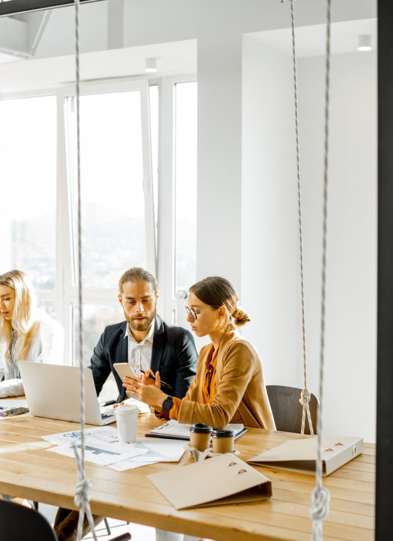 Business people working in the meeting room